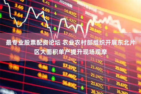 最专业股票配资论坛 农业农村部组织开展东北片区大面积单产提升现场观摩