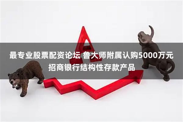最专业股票配资论坛 鲁大师附属认购5000万元招商银行结构性存款产品